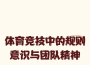 开云体育入口-礼貌的比赛精神，让球场更具竞技风范