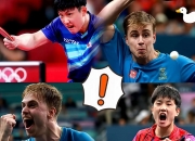 开云APP-法国队轻取日本队，张本智和统治全场