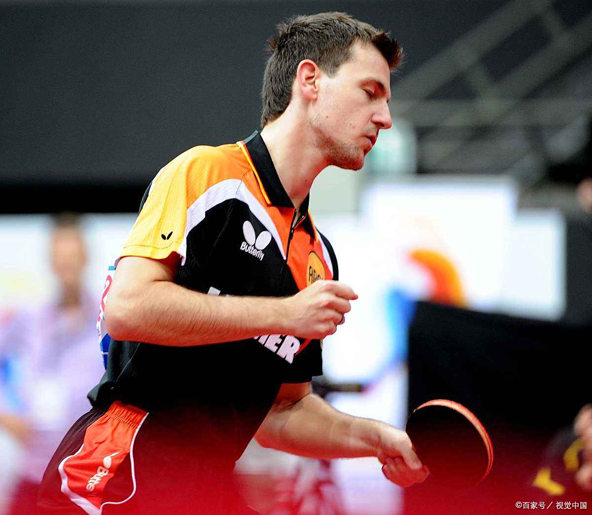 中国乒乓球队血洗波兰乒乓球队,波尔惊艳世界的简单介绍 中国乒乓球队血洗波兰乒乓球队,波尔惊艳世界的简单介绍