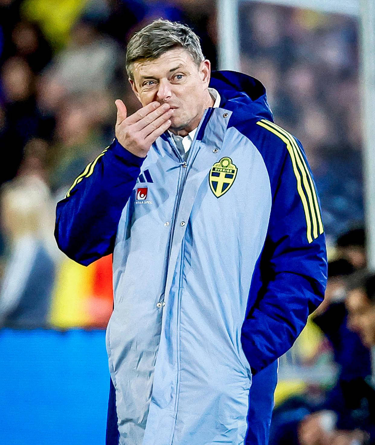 瑞典队绝杀奥地利队，王皓高光表现